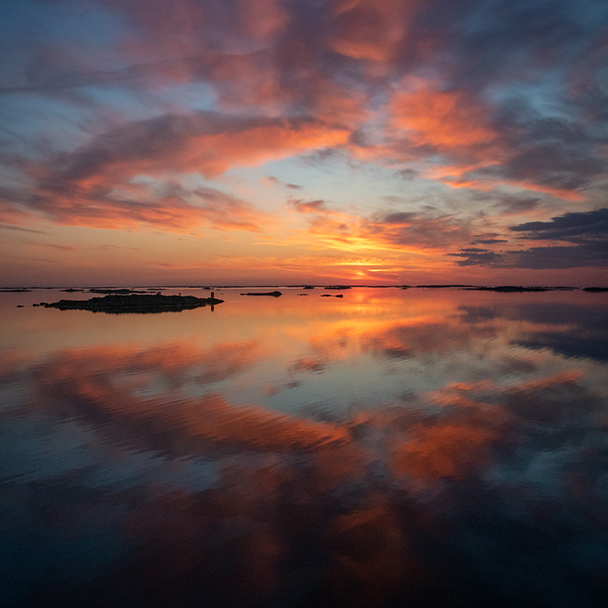 Environment - Emissions and carbon footprint